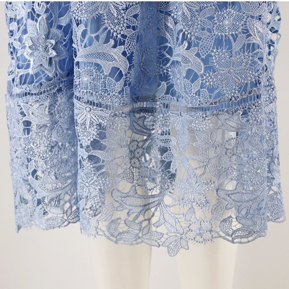Ted Baker NEW Pale Blue Valens Lace Midi Dress - Picture 4 of 12